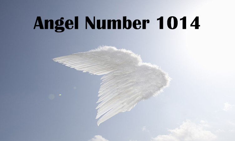 1014 angel number meaning