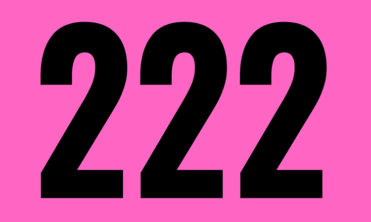 222 angel number meaning