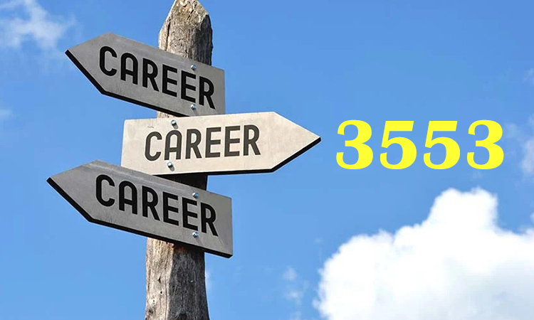 3553 meaning in career