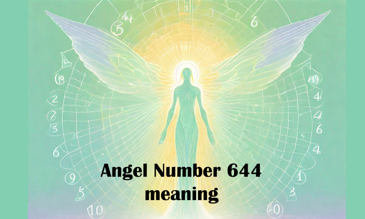 644 meaning