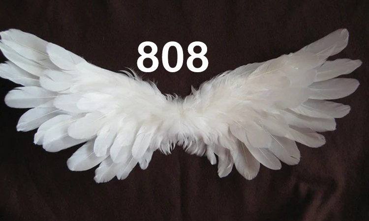 808 Angel Number meaning