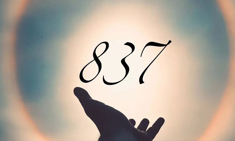 837 angel number meaning